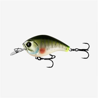 13 Fishing Jabberjaw Hybrid Square bill 3-5ft Depth Dream Gill