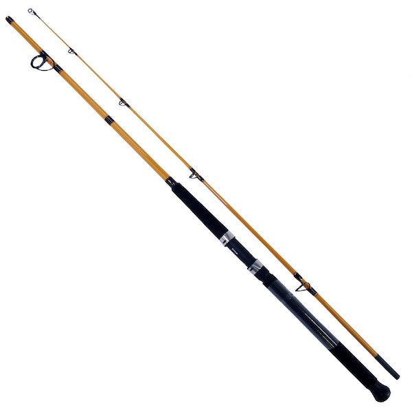 Daiwa Rod-ft Surf Rod 10' 2pc