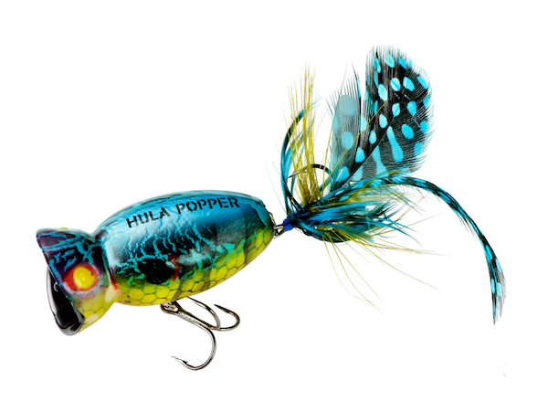 Arbogast Hula 2.0  2 In. Popper Lure Blue Kill