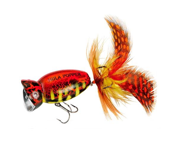 Arbogast Hula 2.0  2 In. Popper Lure Coach Hog